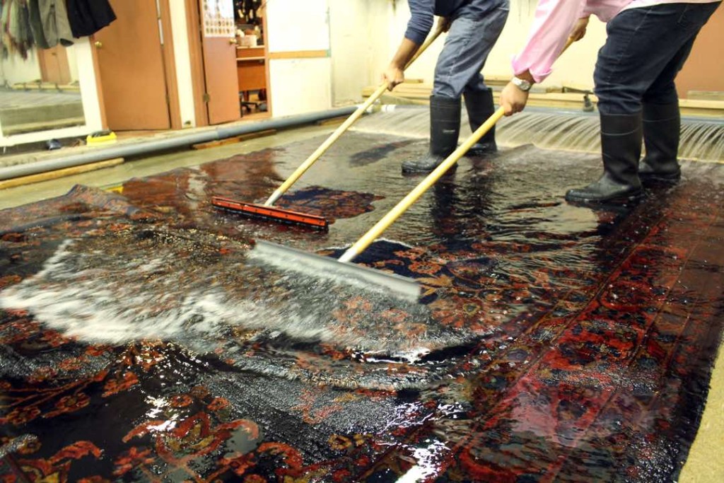 Area Rug Cleaning
