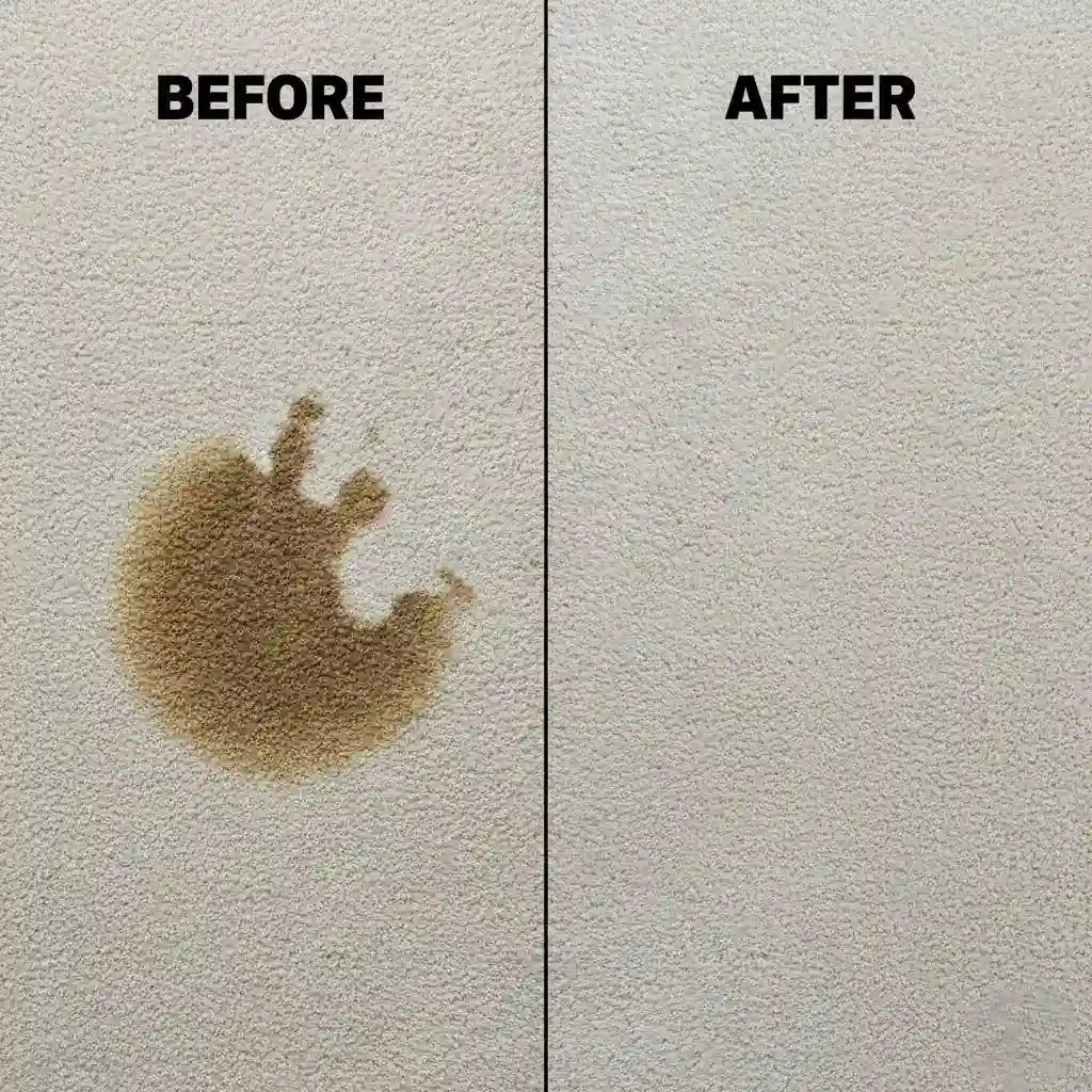 pet urine stain before vs after