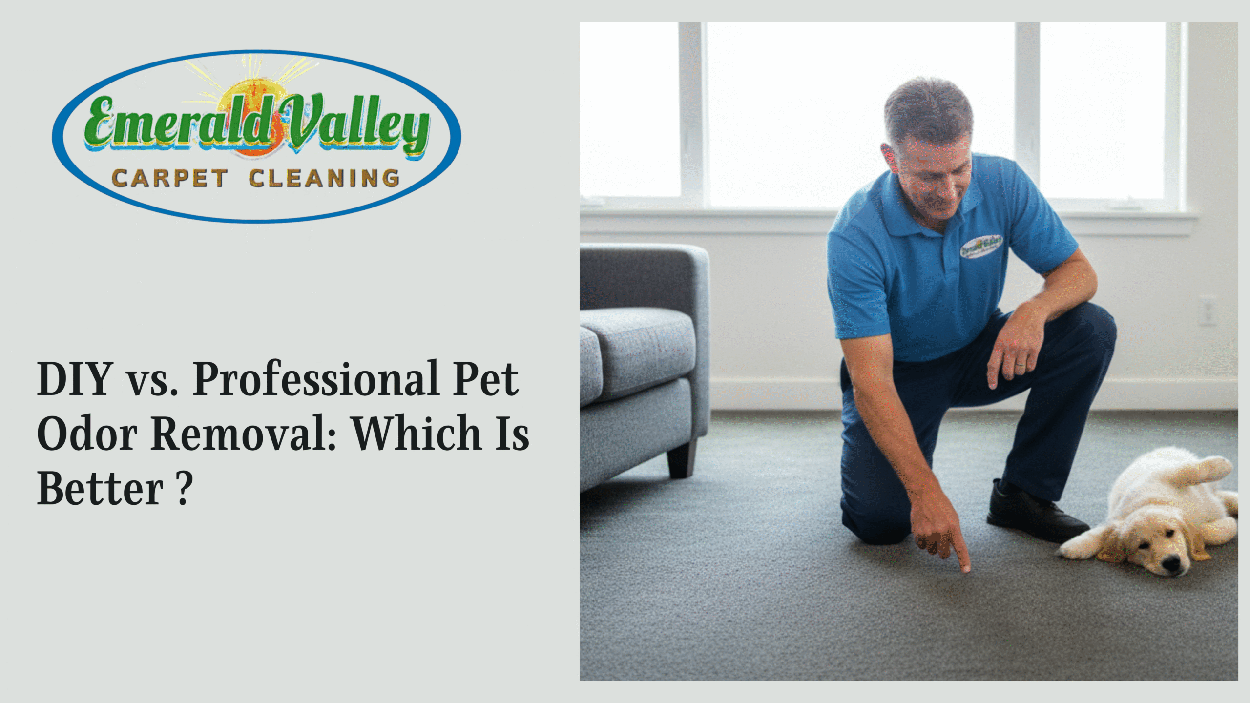 DIY vs. Professional Pet Odor Removal: Which Is Better in Eugene?