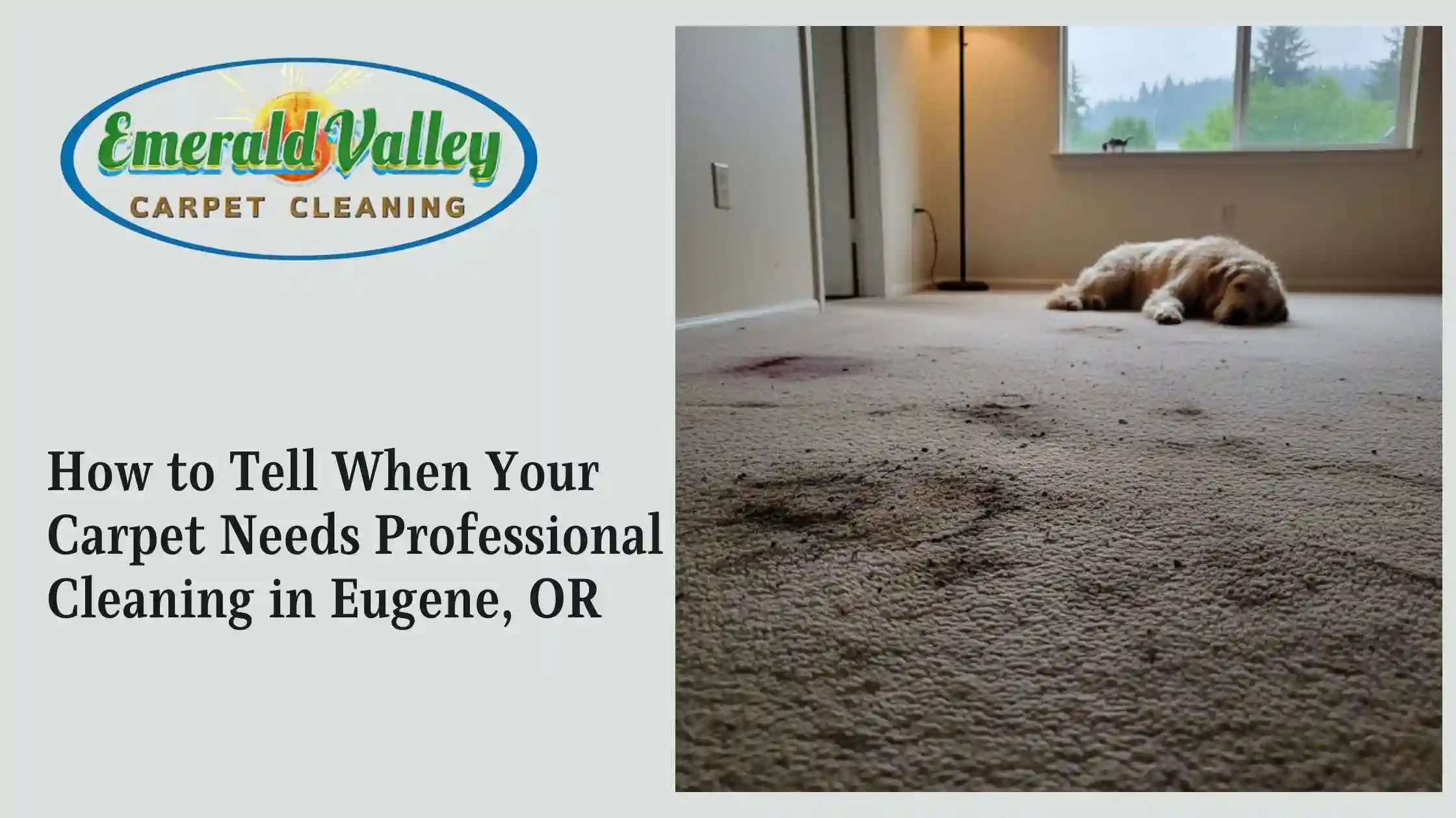 Is it Time? Signs for Carpet Cleaning in Eugene, OR