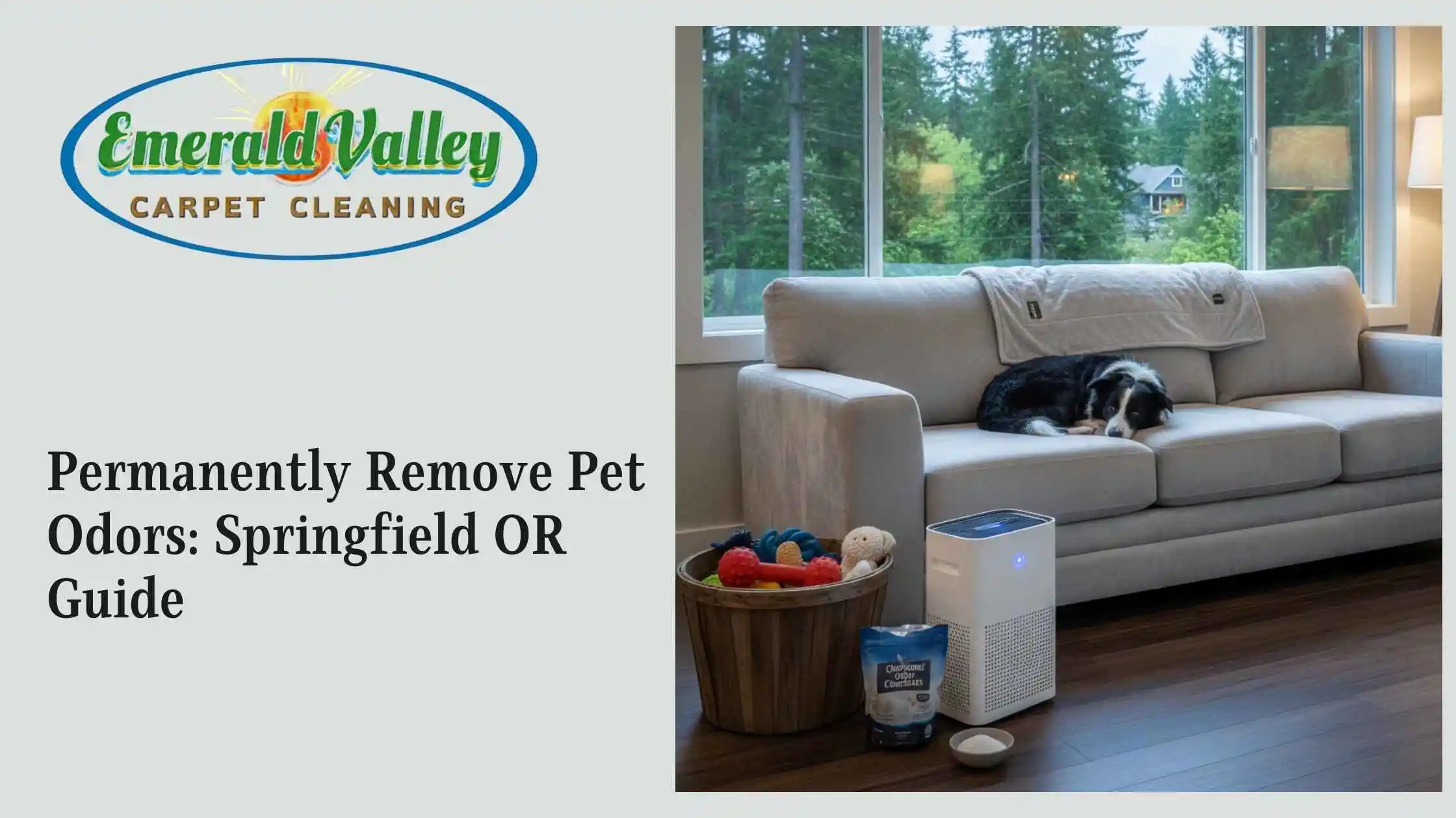Permanently Remove Pet Odors: Springfield OR Guide