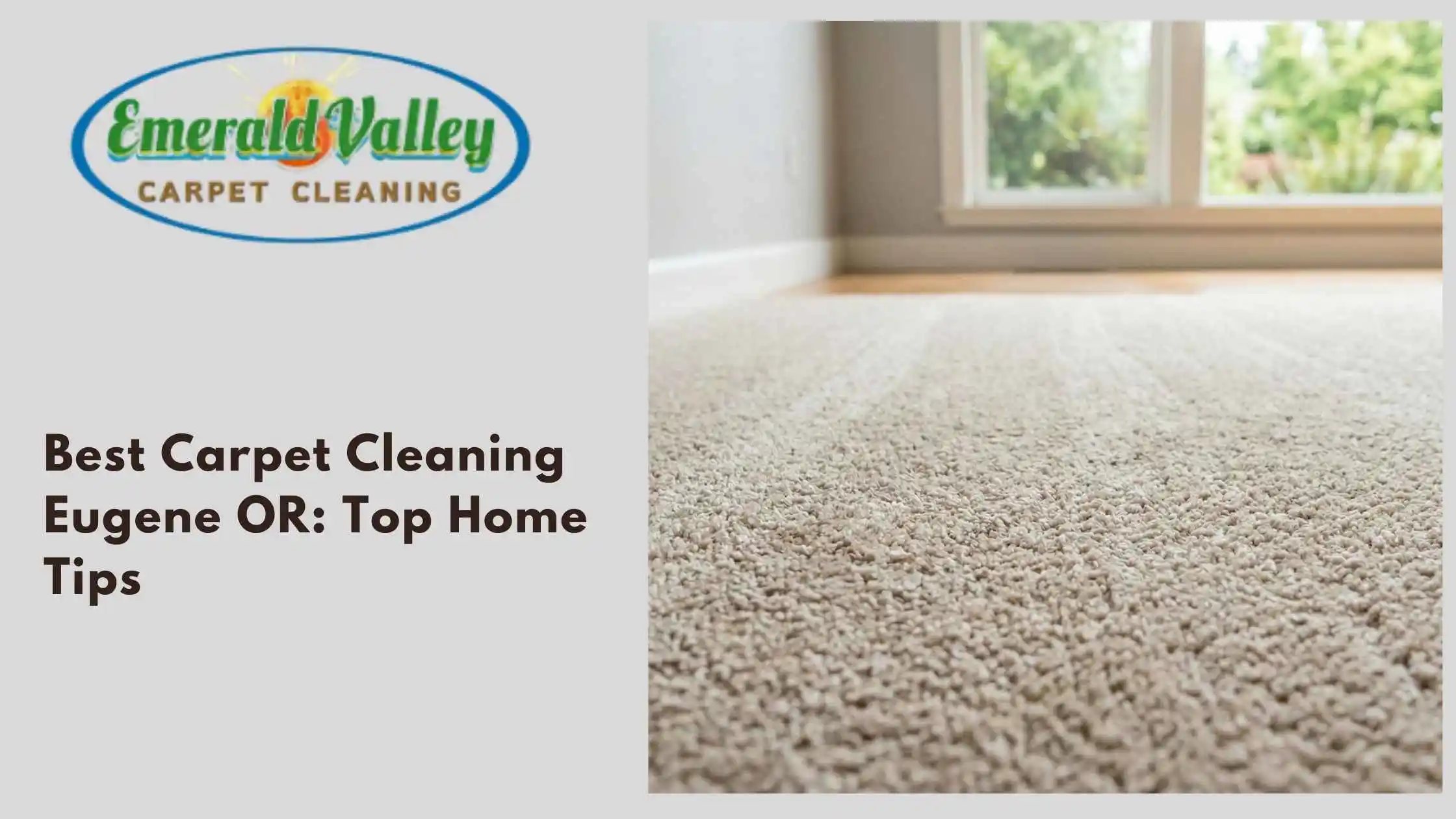 Best Carpet Cleaning Eugene OR Top Home Tips
