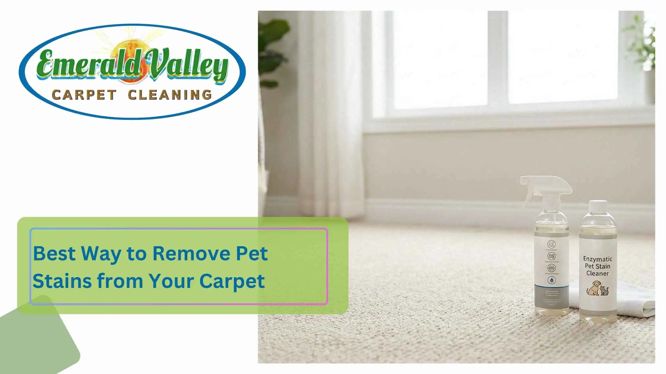 Best Way to Remove Pet Stains from Your Carpet