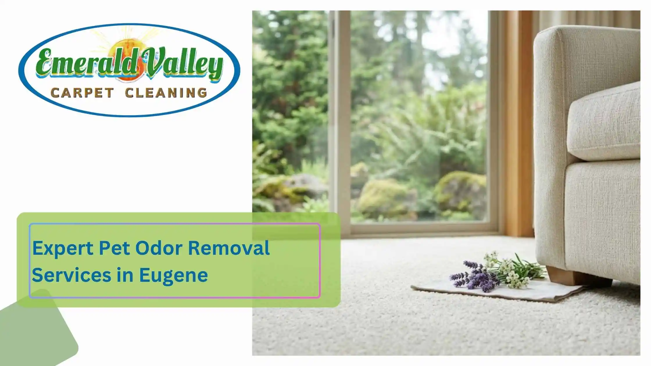 Expert Pet Odor Removal Services in Eugene
