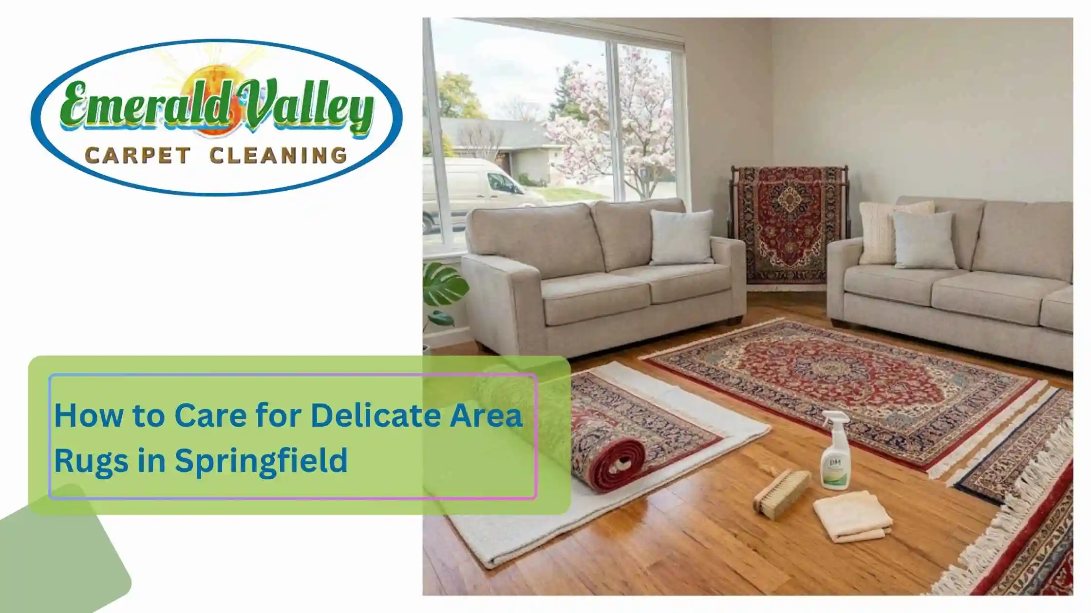 How to Care for Delicate Area Rugs in Springfield