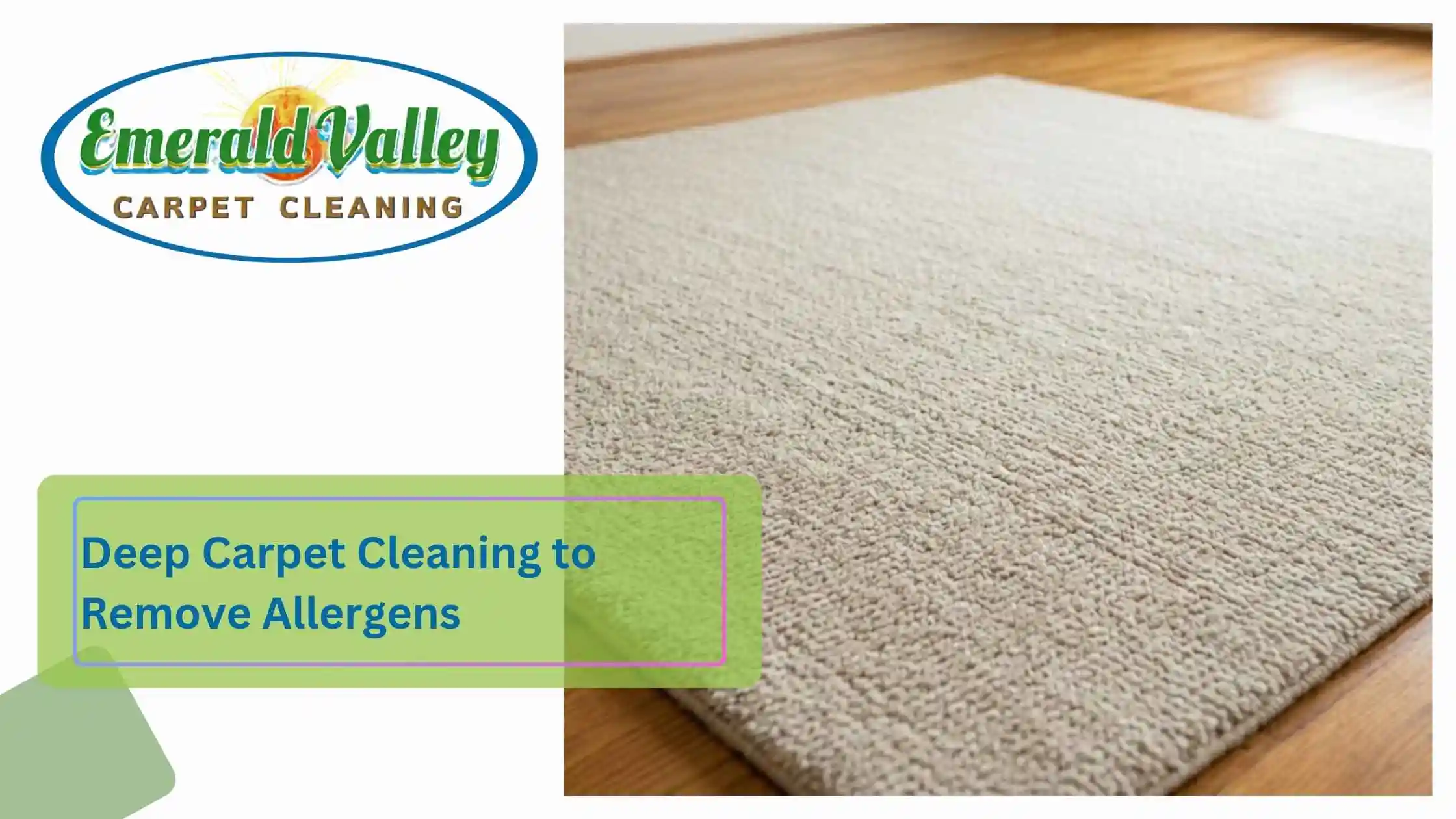 Deep Carpet Cleaning to Remove Allergens in Springfield