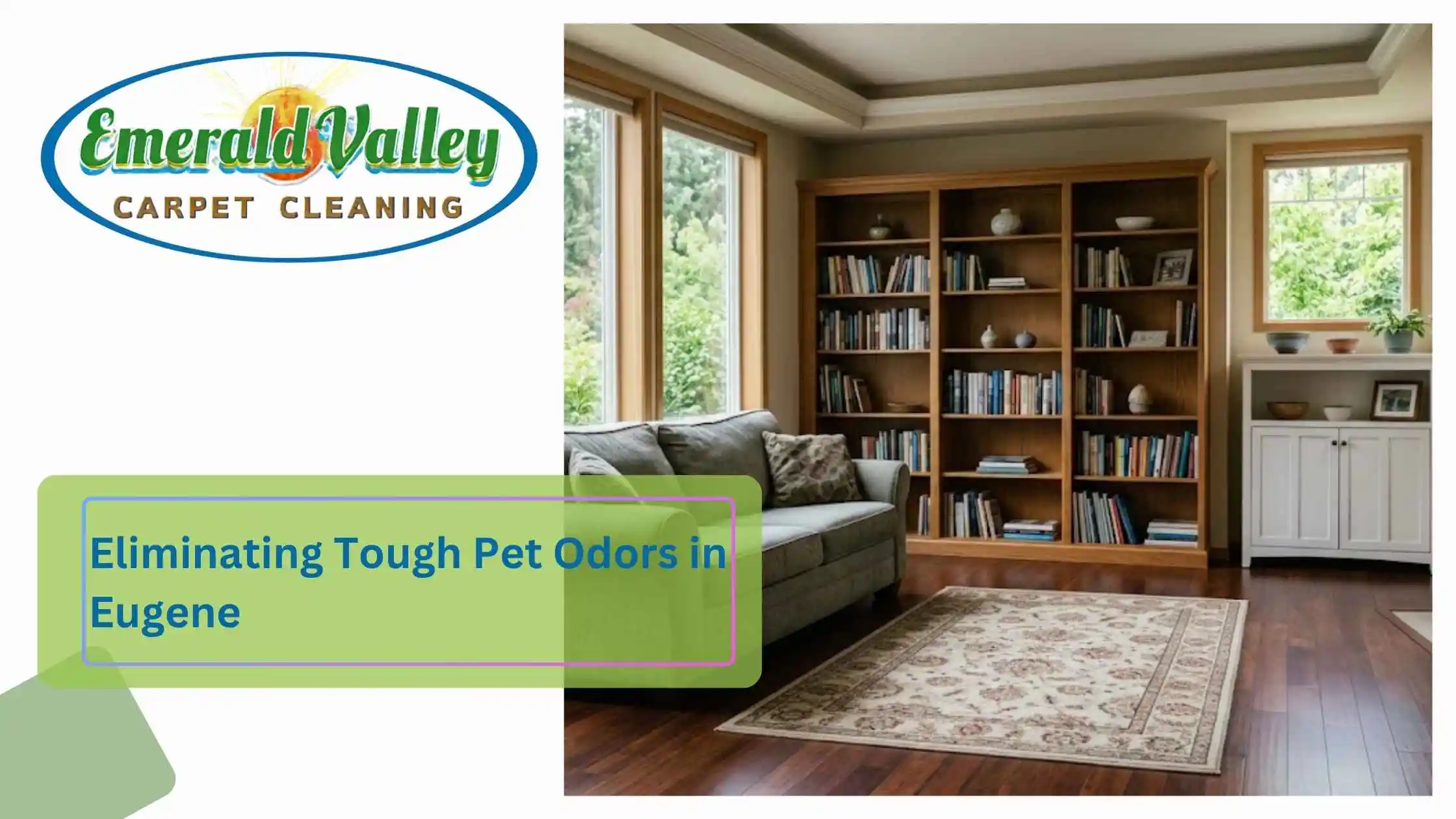 Eliminating Tough Pet Odors in Eugene