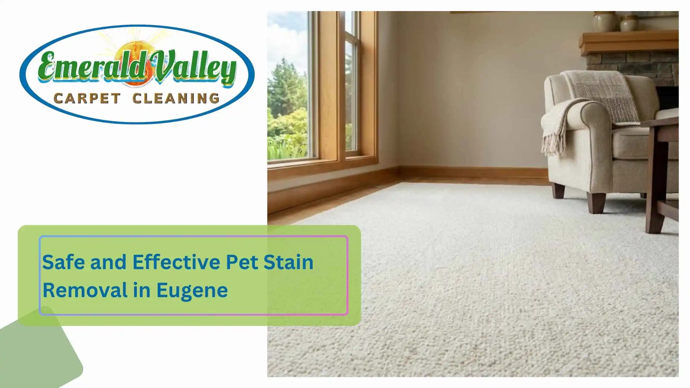 Safe and Effective Pet Stain Removal in Eugene