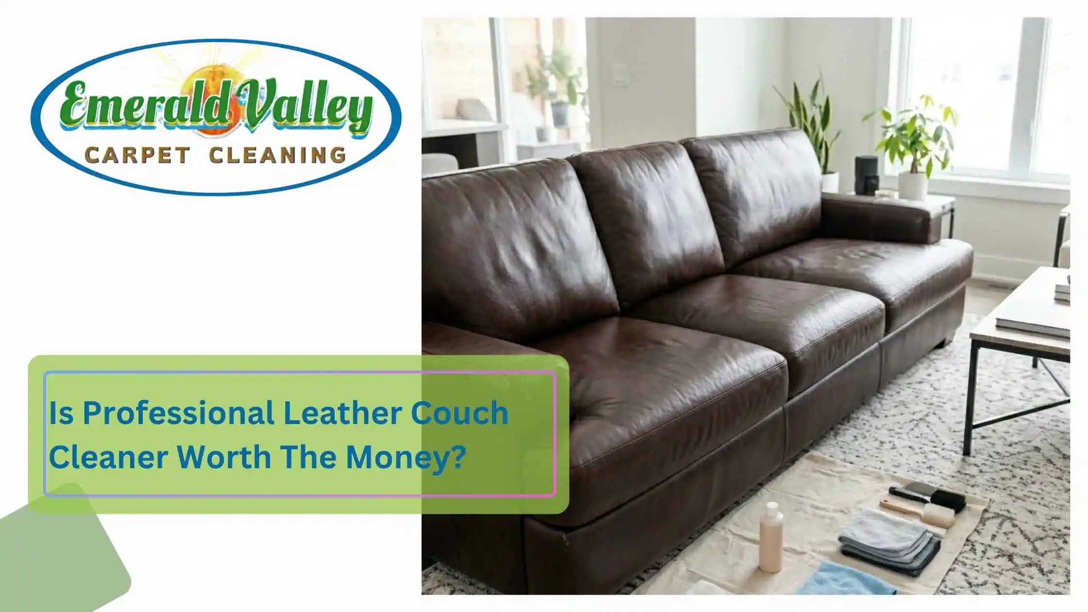 Is Professional Leather Couch Cleaner Worth The Money